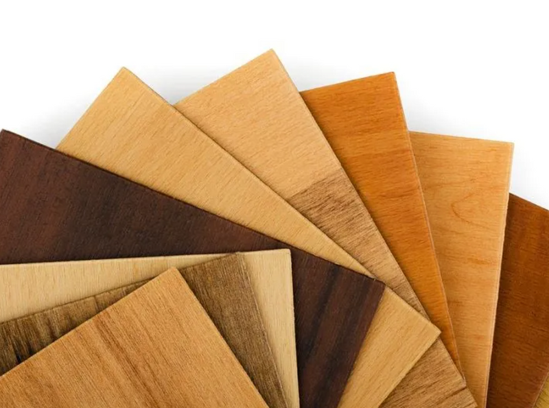 Stain Samples